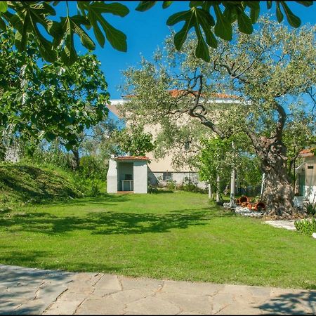 Sunray Separate Villa Skala Sotiros Bagian luar foto